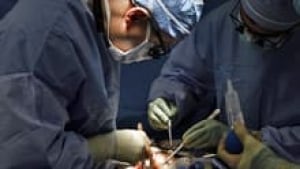 si-kidney-transplant-220-cp