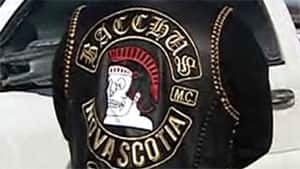 ns-mi-bacchus