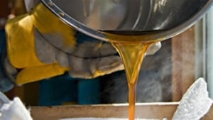 110329_i3t50_sucre-cabane-sirop_sn635