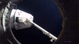 ii-hadfield-dragon-untitled