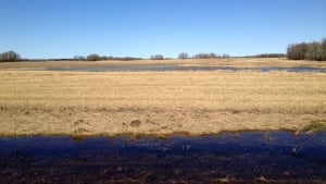 hi-cropland-field-near-pa