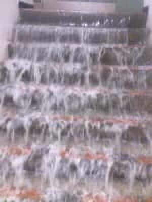 si-flooded-stairs-150
