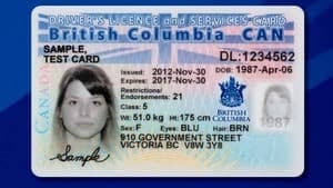 hi-bc-130107-new-care-card-4col