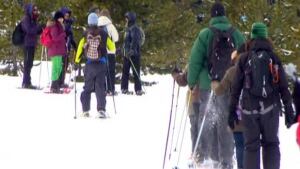 hi-snowshoe-852-8col