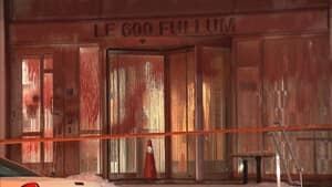 si-vandalismfullum-300