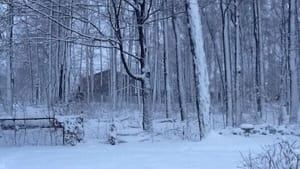mi-300-markham-snow