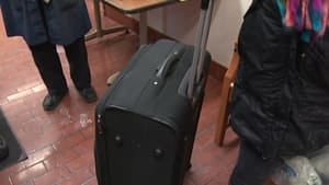 ns-lobster-suitcase-4col