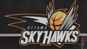 mi-ott-skyhawks-300