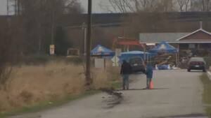 hi-bc-130314-colebrook-4col