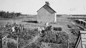 mi-lipton-school-1918