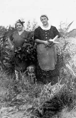 edenbridge-refugees-300