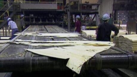 li-plywood-hudson-bay