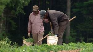 pe-hi-migrant-workers