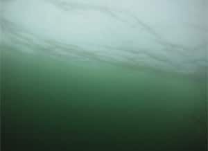 si-arctic-water-phyto