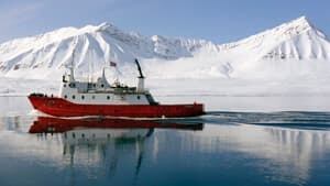 shipping-300