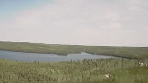 mi-ela-webcam