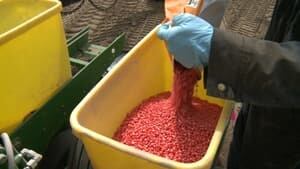 neonicotinoid-seed-300