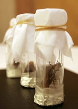 si-cockroaches-rtr1g9t7