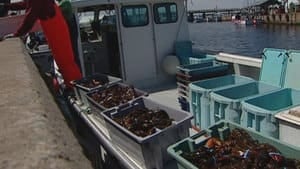 pe-hi-lobster-unloading-852-4col