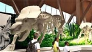 mi-alberta-dinosaur-museum