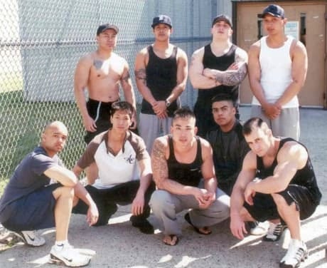 si-fk-gang-drumhellar