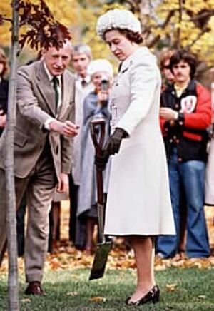 ii-queen-rideau-220-cp-8987