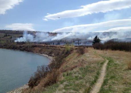grass-fire-underwood