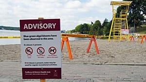 ii-algae-bloom-sign-300