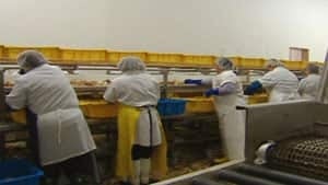 nl-plant-workers-20130527