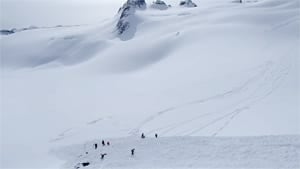 mi-bc-130319-whistler-blackcomb-backcountry-avalanche