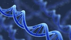 sm-dna-300-istock-rh