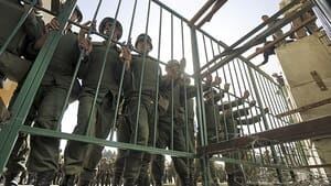 hi-egypt-fence-4col
