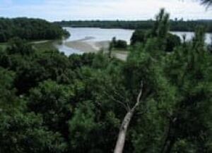 ii-view-of-cootes