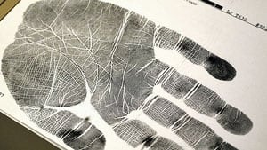 mi-palmprint
