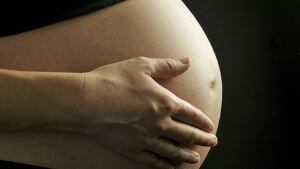 hi-pregnant-belly-852-cp-is