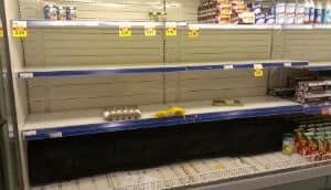 nl-egg-shelves-20130109