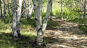 hi-trail-852-4col