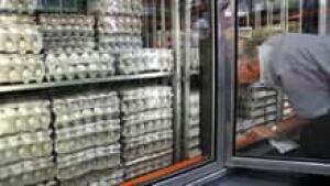 si-eggs-buy-220-cp-82470944