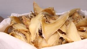 mi-shark-fins