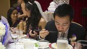 mi-shark-fin-wedding