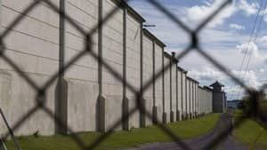 mi-kingstonpenfence-300