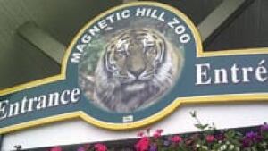 nb-moncton-zoo-magnetic-hill