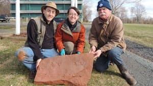 pe-mi-northumberland-fossil