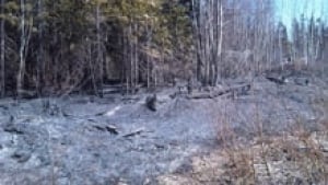 nb-petitcodiac-forest-fire-destroyed