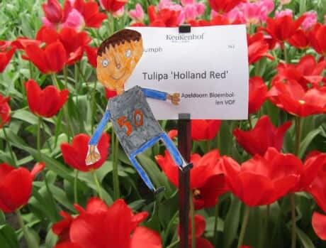 nl-keukenhof-tulips-flatstanley-2013