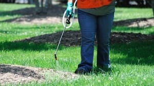 hi-lawn-pesticide-istock-852-4col