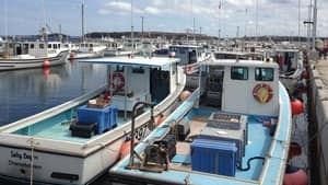 hi-ns-lobster-boats-4col