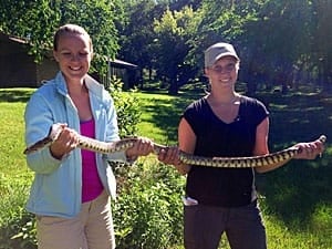 sm-300-marla-anderson-ashley-fortney-bull-snake