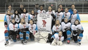 nb-fredericton-hockey-association-female