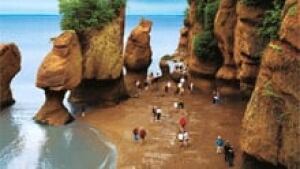 nb-bay-of-fundy